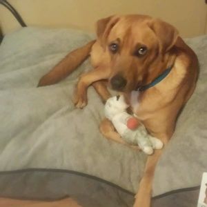 Meet your Posher, Jeanie